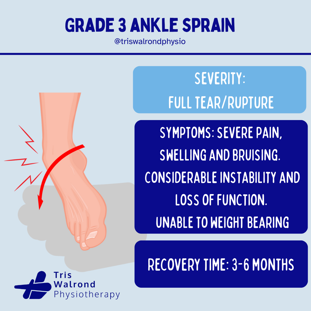 Epidemiology ankle sprains.zip - 8
