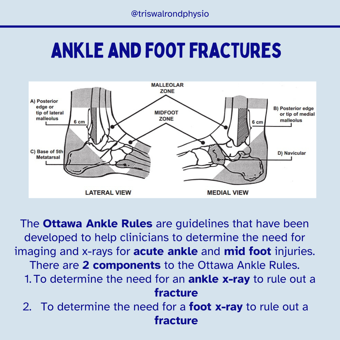 Ottawa ankle rules.zip - 1