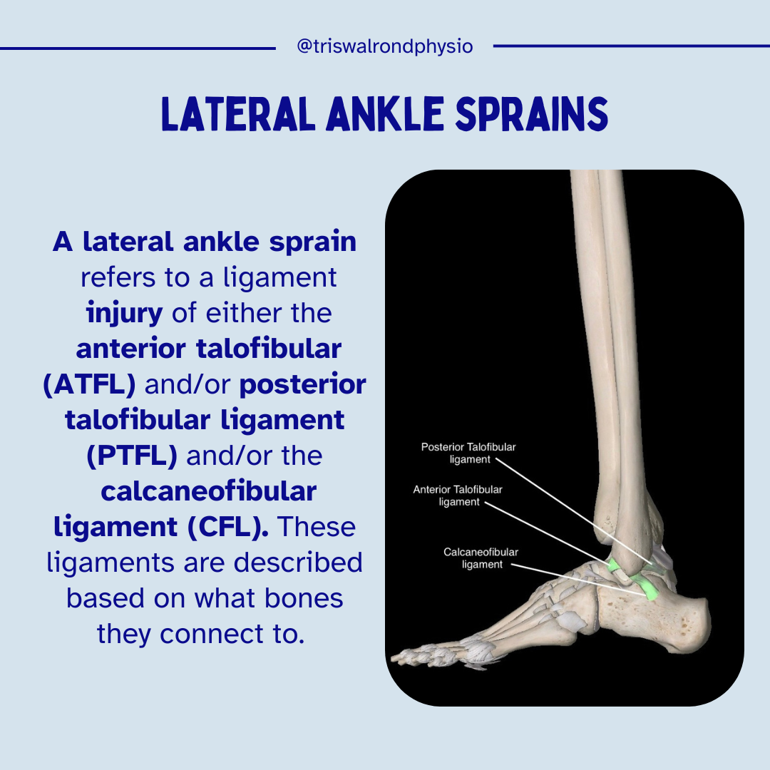 Epidemiology ankle sprains.zip - 11