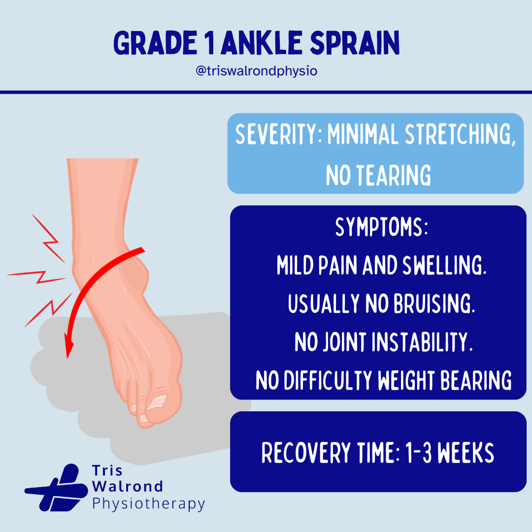 Epidemiology ankle sprains.zip - 6