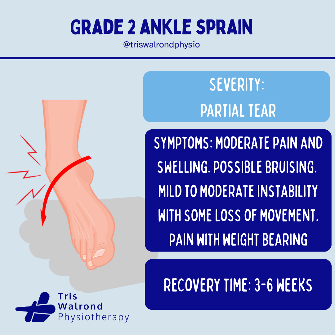 Epidemiology ankle sprains.zip - 7